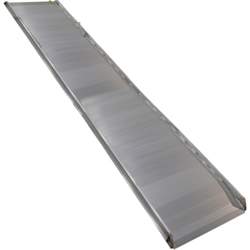Rampe de promenade en aluminium, Capacit&eacute; de 1000 lb, 38" la x 193-1/8" lo Smart Ofis