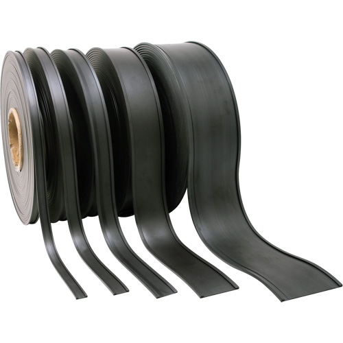 Porte-&eacute;tiquette, Magn&eacute;tique, 600" lo x 2" la Smart Ofis