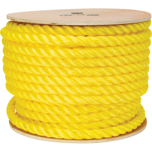 Braided Yellow Rope, Polypropylene, 144' Smart Ofis