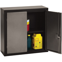 Wall Hung Cabinets