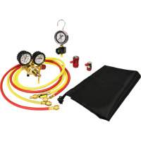 Automotive A/C Nitrogen Leak Test Kit with Regulator Smart Ofis