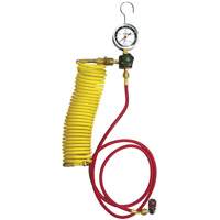 Automotive A/C Nitrogen Leak Test Kit with Regulator Smart Ofis