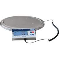 Keg Weighing Scale, 200 kg Capacity Smart Ofis