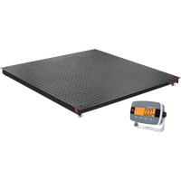 Defender 3000 Floor Scale, 5000 lbs. Capacity, 4' L x 4' W Smart Ofis