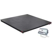 DEFENDER 5000 Floor Scale, 2500 lbs. Capacity, 48" W x 48" L Smart Ofis
