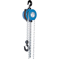 Tralift&reg; Manual Chain Hoist, 10' Lift, 4000 lbs. (2 tons) Capacity, Grade 80 Chain Smart Ofis