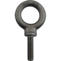 Alloy Steel Eye Bolt, 1" Dia., 1-1/4" L, 1480 lbs. (0.74 tons)/1480 lbs. Capacity Smart Ofis