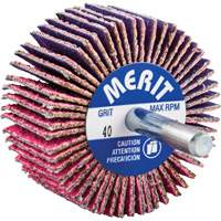 Mini-meule &agrave; lamelles mont&eacute;e sur tige, C&eacute;ramique d'alumine, Grain 40, 2" x 1" x 1/4" Smart Ofis