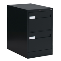 Vertical Filing Cabinet with Recessed Drawer Handles, 2 Drawers, 18.15" W x 26.56" D x 29" H, Black Smart Ofis