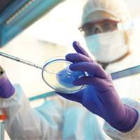 Gants d'examen Kimtech, T-petit, Nitrile, 6 mils, Sans poudre, Mauve, Classe 2 Smart Ofis