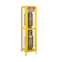 Gas Cylinder Cabinets, 2 Cylinder Capacity, 17" W x 17" D x 69" H, Yellow Smart Ofis