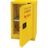 Flammable Storage Cabinet, 12 gal., 1 Door, 23" W x 35" H x 18" D Smart Ofis