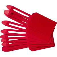 Blank Plastic Lock-On Tags, Plastic, 3-1/4" W x 5-4/5" H, Blank Smart Ofis