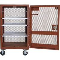 Mobile Mesh Cabinet, Steel, 22 Cubic Feet, Red Smart Ofis