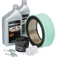 Kohler&reg; Tune Up Kit for Engine Maintenance Smart Ofis