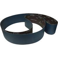 Sanding Belt, 60 Grit Smart Ofis
