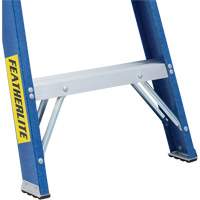 Industrial Duty Stepladders (6300 Series), 4', Fibreglass, 250 lbs. Capacity, Type 1 Smart Ofis