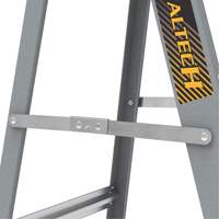 Step Ladder with Paint Tray, 6', Fibreglass, 225 lbs. Capacity, Type 2 Smart Ofis