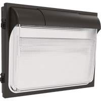 TWX3 Wall Luminaire, LED, 347 V, 14" H x 18" W x 5" D Smart Ofis